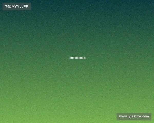 奥迪赛事冠军、奥迪赛事荣誉